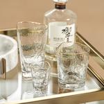 Load image into Gallery viewer, Aperitivo Triangular On the Rocks Glass - Clear w/ Gold Rim
