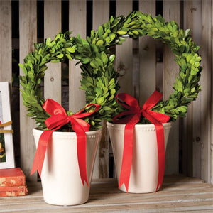 Boxwood Wreaths with Red Ribbon in White Pots