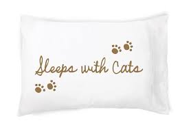Faceplant Dreams Sleeps with Cats Pillowcase