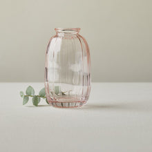 Load image into Gallery viewer, Optic Bud Vases - Blush -3 sizes
