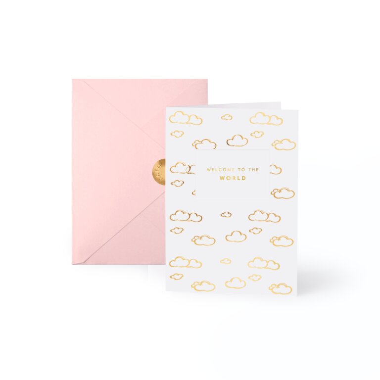 Welcome to the World Blank Greeting Card